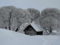 Фотоконкурс «Февральский пейзаж»