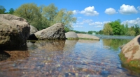 Фотовыставка «Погружение в природу»