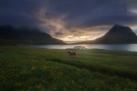 Фототур в Исландию «На краю Земли» 