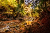 Фототур «Краски осени. Внутренняя гряда Крымских гор» Фототур «Краски осени. Внутренняя гряда Крымских гор»