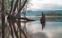Фотоконкурс «Вики любит Землю» Фотоконкурс «Вики любит Землю»
