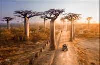 Фототур «Мадагаскар: путешествие в страну лемуров»