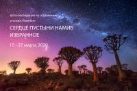 Фототур «Сердце пустыни Намиб. Избранное»