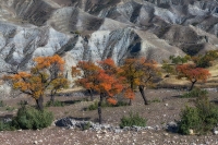 Фототур «Осень в горном Дагестане»