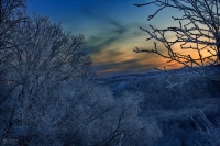 Фотопленэр «Приемы съемки зимнего пейзажа»