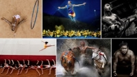 Фотоконкурс «World Press Photo Contest 2014»