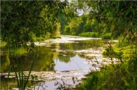 Фотоконкурс «Реки и водоемы»