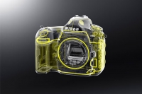 Бесплатный семинар в Ростове-на-Дону «Презентация Nikon D850. Съемка портрета с 