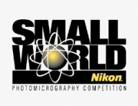 Международный фотоконкурс Nikon Small World 2019