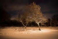 Фотоконкурс «Красивый снег»