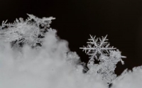 Фотоконкурс «Снег и снежинки»