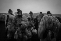 Выставка Андраша Фекете «Зимние сказки»
