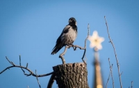 Фотоконкурс «Жизнь вокруг»